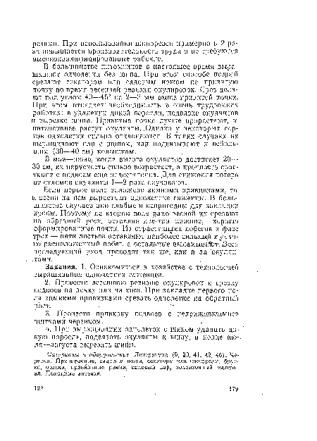 В большинстве питомников в настоящее, время выращивают однолетки без шипа. При этом способе подвой срезают секатором или садовым ножом на привитую почку во время весенней ревизии окулировок. Срез делают под углом 40—45° на 2—3 мм выше привитой почки. При этом отпадает необходимость в очень трудоемких работах: в удалении дикой поросли, подвязке окулянтов и вырезке шипа. Привитые почки лучше прорастают, и интенсивнее растут окуляиты. .Однако у некоторых сортов однолетки сильно отклоняются. В таких случаях их выращивают или с шипом, или подвязывают к небольшим (30—40 см) колышкам.