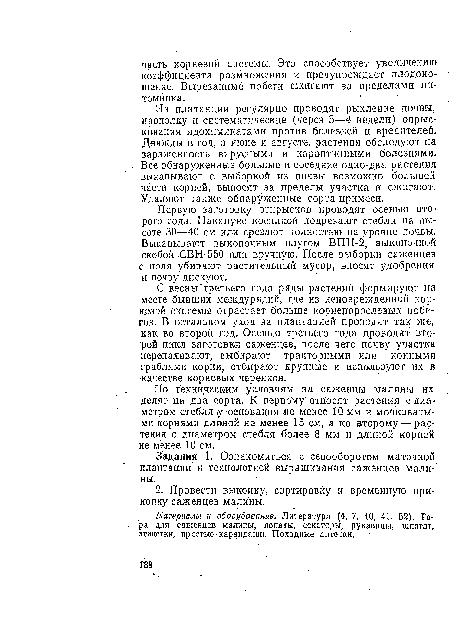 По техническим условиям на саженцы малины их делят на два сорта. К первому относят растения с диаметром стебля ,у оонования не менее 10 мм и мочковатыми корнями длиной не менее 15 см, а ко второму — растения с диаметром стебля более 8 мм и длиной корней не менее 10 см.