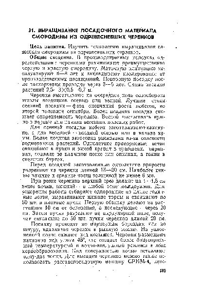 Общие сведения. В производственных условиях одревесневшими черенками размножают преимущественно черную и красную смородину. Маточную плантацию эксплуатируют 6—8 лет и закладывают изолированно от производственных насаждений. Повторную посадку после раскорчевки проводят через 3—5 лет. Схема посадки растений 2,5—3X0,5—0,7 м.