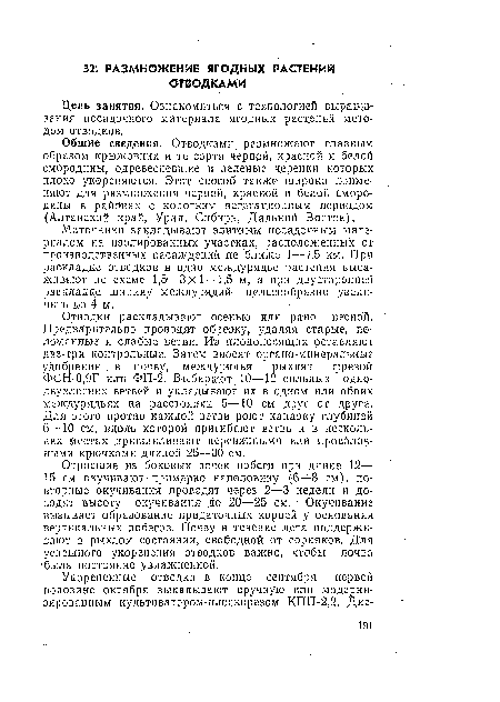 Отросшие из боковых почек побеги при длине 12— 15. см окучивают примерно наполовину (6—8 см), повторные окучивания проводят через 2—3 недели и доводят высоту окучивания до 20—25 см. Окучивание вызывает образование придаточных корней у основания вертикальных побегов. Почву в течение дета поддерживают в рыхлом состоянии, свободной от сорняков. Для успешного укоренения отводков важно, чтобы почва ■была постоянно увлажненной.