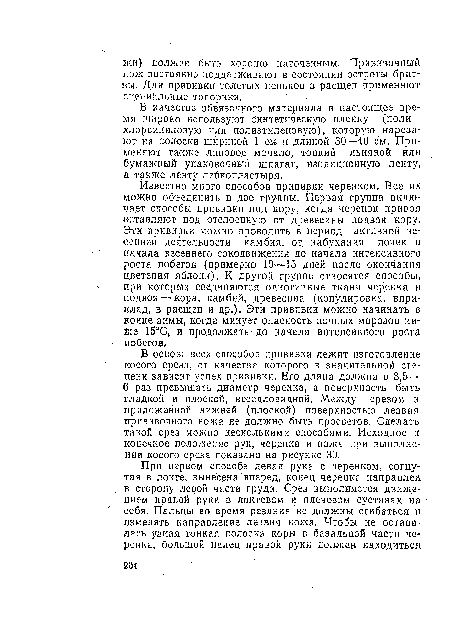 Известно много способов прививки черенком. Все их можно объединить в две группы. Первая группа включает способы прививки под кору, когда черенок привоя ■вставляют под отслоенную от древесины подвоя кору. Эти прививки можно проводить в период активной весенней деятельности камбия, от. набухания почек и начала весеннего сокодвиж.ения до начала интенсивного роста побегов (примерно 10—15 дней после окончания цветения яблони). К другой группе относятся способы, при которых соединяются однотипные ткани черенка и подвоя — кора, камбий, древесина (копулировка, впри-клад, в расщеп и др.). Эти прививки можно начинать в конце зимы, когда минует опасность ночных морозов ниже 15°С, и продолжать ■ до начала интенсивного роста побегов.