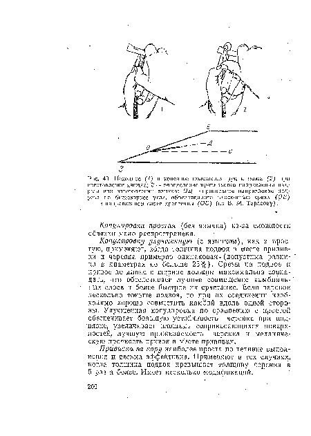 Исходное (1) и конечное положения рук и ножа (2) при изготовлении язычка; 3—определение правильного направления надреза при изготовлении язычка; ОД — правильное направление надреза по биссектрисе угла, образованного плоскостью среза (ОЕ) н направлением слоев древесины (ОС) (по В. М. Тарасову).