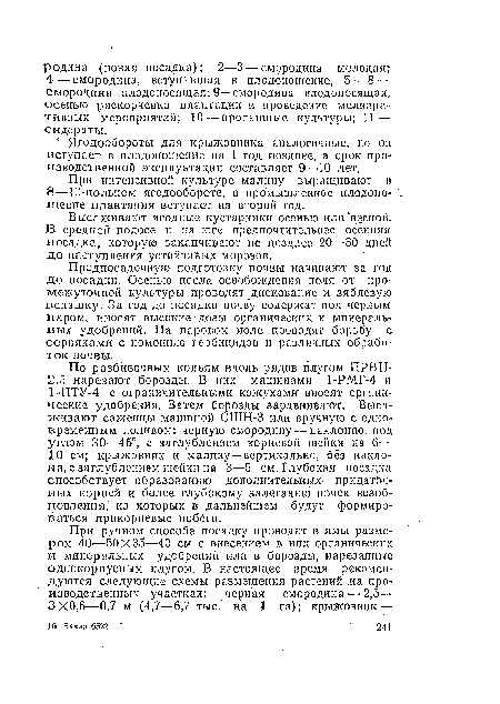 При интенсивной культуре малину выращивают в 8—10-польном ягодообороте, в промышленное плодоношение плантация вступает на второй год.