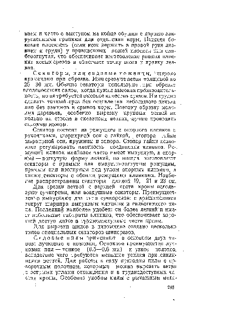 Секаторы, или садовые.ножницы, широко применяют при обрезке. Ими срезают ветви толщиной до 25—30 мм.. Обычно Секаторы используют при обрезке плодоносящих садов, когда нужна высокая производительность, но не требуется высокое качество срезов. Им трудно сделать точный срез без оставления небольшого пенька или без заминов и срывов коры. Поэтому обрезку молодых деревьев, особенно вырезку крупных ветвей на кольцо на стволе и скелетных ветвях, лучше проводить садовым ножом.