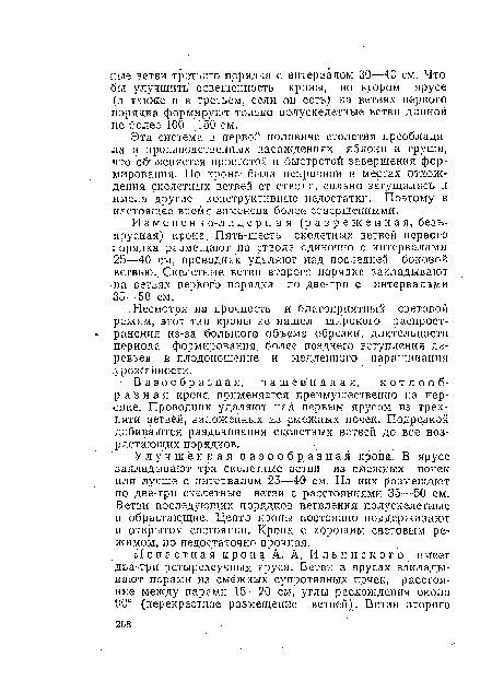 Улучшенная вазо образная крона. В ярусе закладывают три скелетные ветви из смежных почек или лучше с интервалом 25—40 см. На них размещают по две-три скелетные ветви с расстояниями 35—50 см. Ветви последующих порядков ветвления полускелетные и обрастающие. Центр кроны постоянно поддерживают в открытом состоянии. Крона с хорошим световым режимом, но недостаточно прочная.