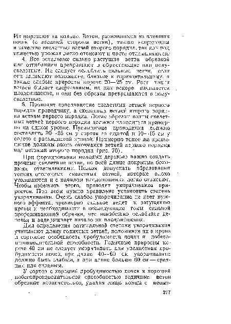 Для определения оптимальной степени укорачивания учитывают длину годичных ветвей, положение их в кроне и сортовые особенности пробудимости ночек и побего-производительной способности. Годичные приросты короче 40 см не следует укорачивать для увеличения пробудимости почек, при длине 40—60 см укорачивание должно быть слабым, а при длине больше 60 см — средним или сильным.