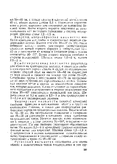 Венгерская пальметта (плоский шпиндель) наиболее пригодна в насаждениях яблони п груши па слаборослых подвоях, а также для скороплодных слаборослых сортов на среднерослых подвоях. Высота штамба 50—60 см. На центральном проводнике с интервалами 15—30 см размещают в плоскости ряда одиночные полускелетиые ветви. Нижние две-три ветви подвязывают к шпалере с углом наклона 70—80°, остальные — горизонтально. На них свободно размещают обрастающие ветви. На высоте 2,5—3 м проводнику придают положение боковой ветви или вырезают. Ширина стены 1,2—1,6 м. С вступлением в полное плодоношение горизонтальные ветви прореживают и увеличивают интервалы между оставленными в кроне до 40—60 см-.