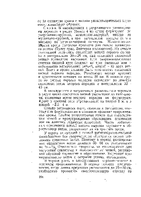 В насаждениях с загущенным размещением деревьев в рядах число скелетных ветвей уменьшают до пятн-шес-ти, скелетные ветви второго порядка ие формируют. Крону в средней зоне ограничивают на высоте 3 м, а в южной — 3,5—4 м.