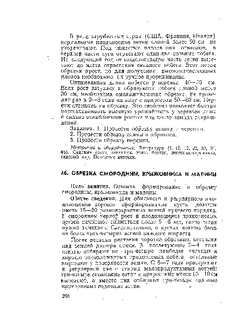 Общие сведения. Для обильного и регулярного плодоношения хорошо сформированные кусты должны иметь 15—20 разновозрастных ветвей нулевого порядка. У смородины черно рост и плодоношение прикорневых ветвей начинают снижаться после 5—б лет, такие ветви нужно заменять. Следовательно, в кустах должно быть не более трех-четырех ветвей каждого возраста.