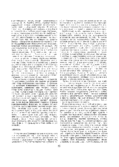 Что касается опорной системы, то в древесине цветковых растений она состоит из различного типа волокнистых элементов. В древесинах наиболее примитивного типа, особенно в древесинах, лишенных еще сосудов, такими элементами являются трахеиды. Однако даже па этой ранней стадии эволюции уже намечается более или менее ясно выраженное разделение функций между широкими тонкостенными трахеидами ранней древесины и более узкими толстостенными трахеидами поздней древесины. Если первые исполняют главным образом водопроводящую функцию, то вторые играют, вероятно, преимущественно механическую роль. Как читатель уже знает из вводной главы предыдущего тома, в процессе эволюции цветковых растений из типичных трахеид возникли более специализированные для опорной функции волокнистые трахеиды, которьто, в свою очередь, дали начало древесинным (ксилем-ным) волокнам, или волокнам либриформа (см. ряс. 9 па с. 21 предыдущего тома «Жизни растений») .