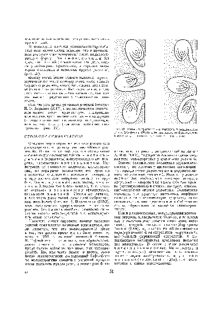 Между всеми этими типами имеются промежуточные формы, и поэтому очень часто бывает трудно определить, какой тип семязачатка имеет то или иное растение. Тем не менее выделение этих типов оказалось очень полезным, так как они имеют определенное систематическое значение.