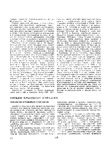 Подсемейство ильмовых — небольшая однородная группа, наиболее обособленная и наиболее примитивная в порядке крапивных. Оно объединяет ( родов, в которые входит около 50 видов древесных растений. Центральное место среди ильмовых принадлежит роду ильм (Шпшй). включающему более 75% видов подсемейства, распространенных от умеренной до тропической зоны северного полушария.