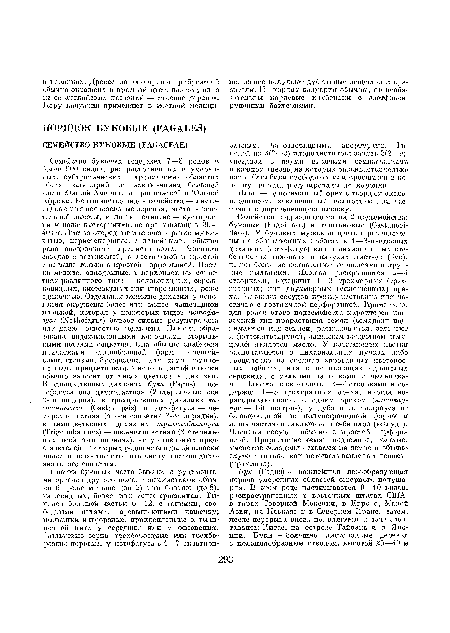 Плод — односемянный орех с твердым околоплодником, заключенный полностью или частично в дереиенеюхцую плюску.