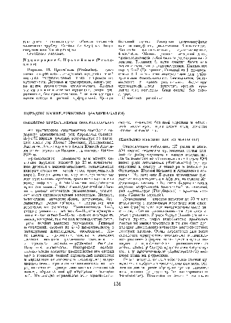 Это тропическое американское семейство содержит единственный род брупеллия (Вгине1-Иа) с 50 видами, которые встречаются во влажных лесах гор Южной Мексики, Центральной Америки, Вест-Индии и в Андах Южной Америки от Венесуэлы до Боливии па высотах 1800— 3000 м.