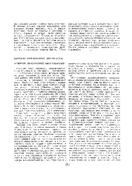 Семейство неоднородно в своем таксономическом составе. Отдельные его роды, как бузина, пли группы родов, как карлеманния (Carlemannia) и сильвиантус (Silvianthus), также нередко выделяют в особые семейства.