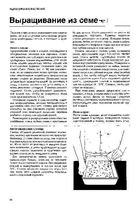 Проращивание семян в сосудах, находящихся в обогреваемых теплицах или парниках, позволяет внимательно наблюдать за их ростом и контролировать условия выращивания. Для посева семян обычно используют чистые горшки или пластмассовые поддоны. Почвенная смесь для семян «Джон Иннес» (см. с. 30) или равноценный, но не содержащий почвы субстрат полностью обеспечивают потребности проростков на ранних стадиях их развития. Почвенная смесь должна быть свежей и влажной. Ее насыпают в сосуд, стремясь заполнить все углы емкости, а затем уплотняют пальцами. Излишки снимают дощечкой. Смесь утрамбовывают прессовальной доской так, чтобы ее поверхность была ниже края емкости на 1,5 см.