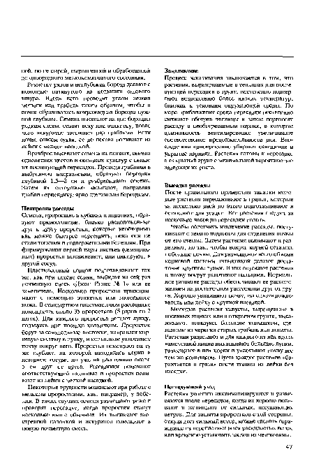 Семена, проросшие в кубиках и поддонах, образуют прямостоящие, близко расположенные друг к другу проростки, которые необходимо как можно быстрее пересадить, пока они не стали тонкими и подверженными болезням. При формировании первой пары листьев (семядольных) проростки высаживают, или пикируют, в другой сосуд.