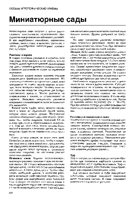 Смесь должна сохнуть не менее семи дней. Потребуется время и для того, чтобы в покрытии поселились мхи и лишайники, придавая ему вид обветренной скальной породы. Перемежающиеся морозы могут привести к частичному осыпанию покрытия, но оголенные участки легко восстановить.