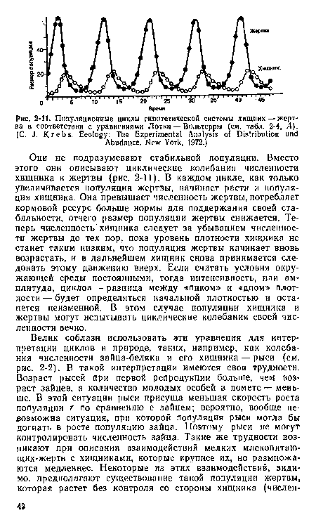 Они не подразумевают стабильной популяции. Вместо этого они описывают циклические колебания численности хищника и жертвы (рис. 2-11). В каждом цикле, как только увеличивается популяция жертвы, начинает расти и популяция хищника. Она превышает численность жертвы, потребляет кормовой ресурс больше нормы для поддержания своей стабильности, отчего размер популяции жертвы снижается. Теперь численность хищника следует за убыванием численности жертвы до тех пор, пока уровень плотности хищника не станет таким низким, что популяция жертвы начинает вновь возрастать, и в дальнейшем хищник снова принимается следовать этому движению вверх. Если считать условия окружающей среды постоянными, тогда интенсивность, или ам-плитуда, циклов — разница между «пиком» и «дном» плотности — будет определяться начальной плотностью и останется неизменной. В этом случае популяции хищника и жертвы могут испытывать циклические колебания своей численности вечно.