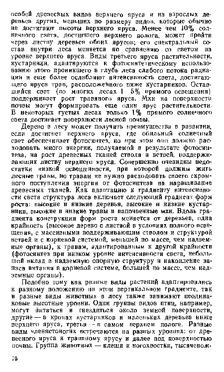 Дерево в лесу может получить преимущества в развитии, если достигнет верхнего яруса, где обильный солнечный свет обеспечивает фотосинтез, но при этом оно должно расходовать много энергии, получаемой в результате фотосинтеза, на рост древесных тканей ствола и ветвей, поддерживающих листву верхнего яруса. Совершенно очевидны недостатки низкой освещенности, при которой должны жить лесные травы, но травам не нужно расходовать своего скромного поступления энергии от фотосинтеза на наращивание древесных тканей. Как адаптацию к градиенту интенсивности света структура леса включает следующий градиент форм роста: высокие и низкие деревья, высокие и низкие кустарники, высокие и низкие травы и напочвенные мхи. Вдоль градиента конструкция форм роста меняется от деревьев, одна крайность (высокое дерево с листвой в условиях полного освещения, с массивными поддерживающим стволом и структурой ветвей и с корневой системой, меньшей по массе, чем надземные органы), к травам, адаптированным к другой крайности (фотосинтез при низком уровне интенсивности света, небольшой вклад в надземную опорную структуру и накопление запаса питания в корневой системе, большей по массе, чем надземные органы).