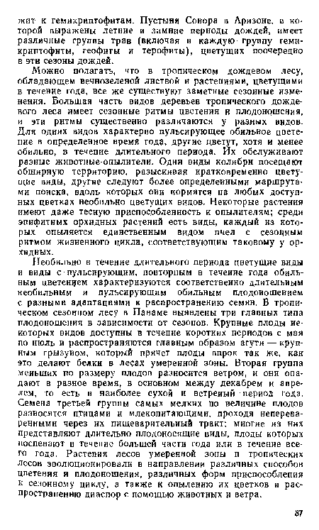 Можно полагать, что в тропическом дождевом лесу, обладающем вечнозеленой листвой и растениями, цветущими в течение года, все же существуют заметные сезонные изменения. Большая часть видов деревьев тропического дождевого леса имеет сезонные ритмы цветения и плодоношения, и эти ритмы существенно различаются у разных видов. Для одних видов характерно пульсирующее обильное цветение в определенное время года, другие цветут, хотя и менее обильно, в течение длительного периода. Их обслуживают разные животные-опылители. Одни виды колибри посещают обширную территорию, разыскивая кратковременно цветущие виды, другие следуют более определенными маршрутами поиска, вдоль которых они кормятся на любых доступных цветках необильно цветущих видов. Некоторые растения имеют даже тесную приспособленность к опылителям; среди эпифитных орхидных растений есть виды, каждый из которых опыляется единственным видом пчел с сезонным ритмом жизненного цикла, соответствующим таковому у орхидных.