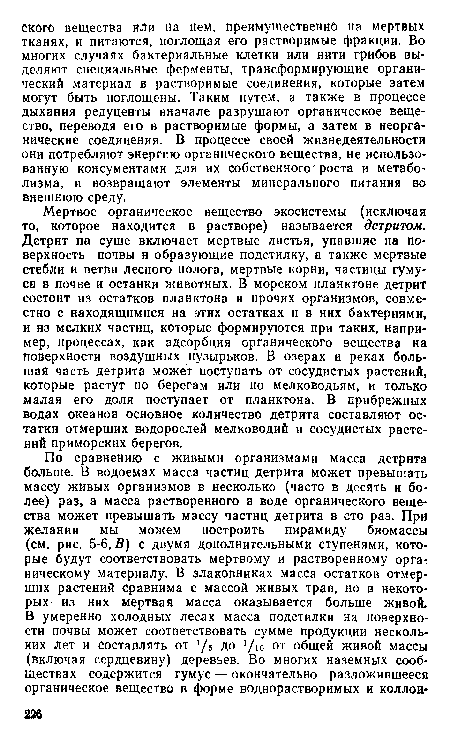 Мертвое органическое вещество экосистемы (исключая то, которое находится в растворе) называется детритом. Детрит на суше включает мертвые листья, упавшие на поверхность почвы и образующие подстилку, а также мертвые стебли и ветви лесного полога, мертвые корни, частицы гумуса в почве и останки животных. В морском планктоне детрит состоит из остатков планктона и прочих организмов, совместно с находящимися на этих остатках и в них бактериями, и из мелких частиц, которые формируются при таких, например, процессах, как адсорбция органического вещества на поверхности воздушных пузырьков. В озерах и реках большая часть детрита может поступать от сосудистых растений, которые растут по берегам или по мелководьям, и только малая его доля поступает от планктона. В прибрежных водах океанов основное количество детрита составляют остатки отмерших водорослей мелководий и сосудистых растений приморских берегов.