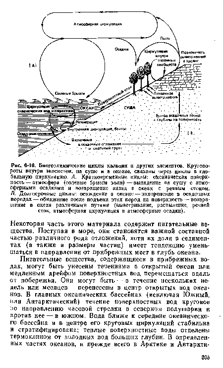 Некоторая часть этого материала содержит питательные вещества. Поступая в море, оии становятся важной составной частью различного рода отложений, хотя их доля в седимен-тах (а также и размеры частиц) имеет тенденцию уменьшаться в направлении от прибрежных мест в глубь океана.