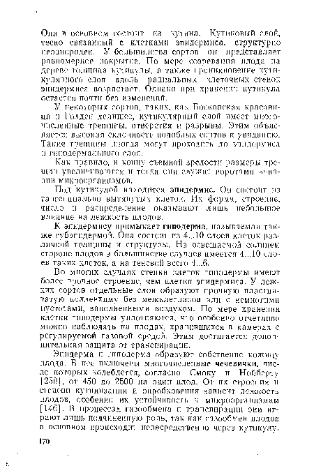 У некоторых сортов, таких, как Боскопская красавица и Голден делишес, кутикулярный слой имеет многочисленные трещины, отверстия и разрывы. Этим объясняется высокая склонность подобных сортов к увяданию. Такие трещины иногда могут проходить до эпидермиса и гиподермального слоя.