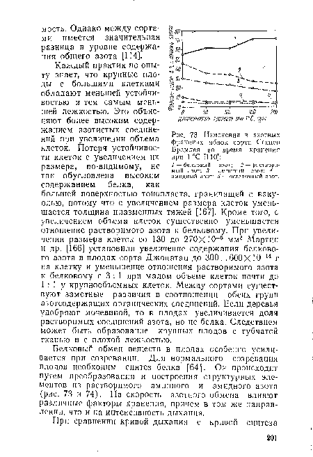 Белковый обмен веществ в плодах особенно усиливается при созревании. Для нормального созревания плодов необходим синтез белка [64]. Он происходит путем преобразования и построения структурных элементов из растворимого аминного и амидного азота (рис. 73 и 74). На скорость азотного обмена влияют различные факторы хранения, причем в том же направлении, что и на интенсивность дыхания.