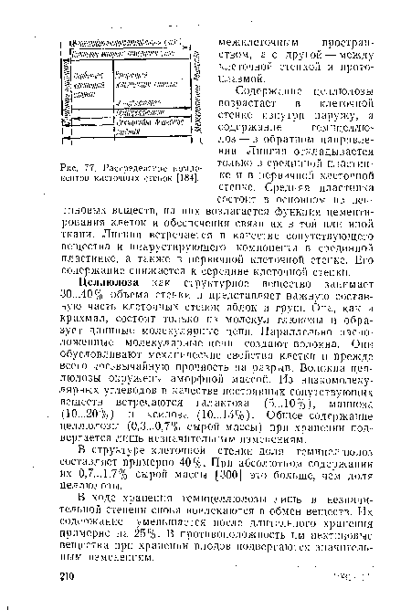 Распределение компонентов клеточных стенок [184].