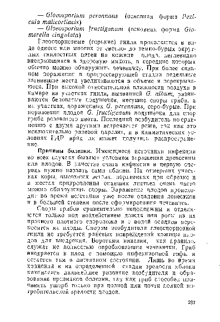 Глеоспориозные (горькие) гнили проявляются в виде одного или многих от светло- до темно-бурых округлых гнилостных пятен на кожице плода, кеглевидно внедряющихся в здоровую мякоть, в середине которых обычно можно обнаружить чечевичку. При более сильном поражении в прогрессирующей стадии отдельные загнившие места увеличиваются в объеме и перекрываются. При высокой относительной влажности воздуха в камере на участках гнили, вызванной G. album, развиваются беловатые подушечки, несущие споры гриба, а на участках, пораженных G. perennans, серо-бурые. При поражении плодов G. fructigenum подушечки для спор гриба розоватого цвета. Последний возбудитель по сравнению с двумя другими встречается реже, так как это исключительно раневой паразит, и в климатических условиях ГДР вряд ли может получить распространение.