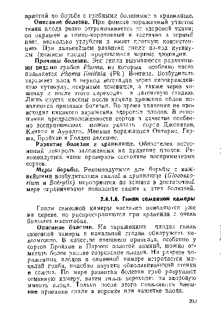 Описание болезни. При фомозе пораженный участок ткани плода резко отграничивается от здоровой ткани; он окрашен в темно-коричневый и частично в черный цвет, несколько углублен и имеет плотную консистенцию. При дальнейшем развитии гнили из-под кутикулы (кожицы плода) прорываются черные пикнидии.