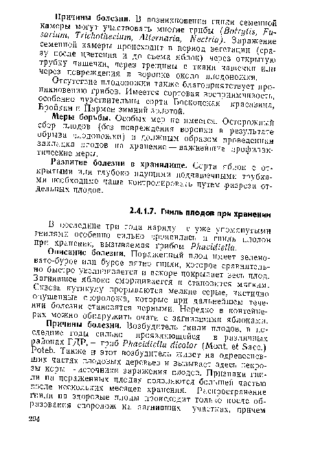 В последние три года наряду с уже упомянутыми гнилями особенно сильно проявилась и гниль плодов при хранении, вызываемая грибом Phacidiella.