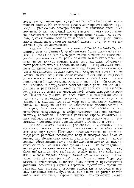 Если мы рассмотрим рост многоклеточных организмов, например высших растений, то обнаружим более сложную ситуацию. Справедливо, что здесь рост также в конечном счете сводится к увеличению размеров и делению отдельных клеток, однако не все клетки, составляющие тело растения, обусловливают рост организма в целом, поскольку рост происходит только в определенных зонах — меристемах. Такое ограничение зон роста объясняется, по-видимому, тем, что/зрелые растительные клетки обычно окружены относительно толстыми и твердыми клеточными стенками, а многие клетки механических и проводящих тканей являются, конечно, неживыми. Эти обстоятельства, вероятно, и затрудняют согласованный рост, включающий деление и растяжение клеток, у таких органов, как стебель, коль скоро он достигает определенной стадии диффереициров-ки. Позднее мы увидим, что большинство живых растительных клеток при определенных условиях восстанавливают свою способность к делению, но даже если они и начинают делиться вновь, то дочерние клетки не обязательно увеличиваются в размерах, разве что это относительно тонкостенные клетки, способные возвращаться к эмбриональному, или меристемати-ческому, состоянию. Наличием довольно строго локализованных эмбриональных зон высшие растения отличаются от животных, у которых рост присущ всему организму в целом.