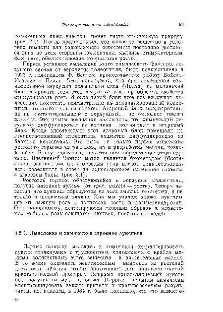 Ростовой гормон, образующийся в верхушке колеоптиля., получил название ауксин (от греч. atixein — расти). Теперь известно, что ауксины образуются во всех высших растениях, а не только в проростках злаков. Как мы узнаем позже, ауксины играют важную роль в процессах роста и диффереицировки. Они, по-видимому, синтезируются главным образом в меристемах молодых развивающихся листьев, цветков и плодов.