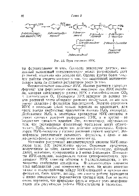 Механизм разрушения индолилуксусной кислоты ИУК-окси-дазой (рис. 3.3) недостаточно изучен. Основным продуктом, получаемым in vitro, является З-метилеи-2-оксиндол, который далее, возможно, превращается в З-метил-2-оксиндол. Препараты ИУК-оксидазы, содержащие также цитохромоксидазу, превращают ИУК главным образом в 3-индол ил альдегид, и это .вещество стабильнее оксиндолов. Физиологическое значение этих наблюдений пока совершенно не ясно. Не много известно также о взаимодействии между ИУК-оксидазой и природными -фенолами, быть может, потому, что многие работы проводятся с плохо очищенными ферментными препаратами. Тем не менее ючеиь вероятно, что природные фенолы играют роль модификаторов или регуляторов работы ИУК-оксидазы в растениях.