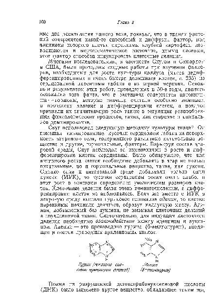 Многими исследователями, в частности Скугом и Стюардом в США, были проведены сходные работы при изучении факторов, необходимых для роста культуры каллуса (масса недифференцированных и очень быстро делящихся клеток, с. 235) из сердцевинной паренхимы табака и из корней моркови. Основным результатом этих работ, проведенных в 50-е годы, явилось осознание того факта, что в растениях содержатся цитокини-ны — гормоны, которые сначала считали особенно важными в процессах деления и диффереицировки клеток, а позднее признали их значительную роль также в регуляции разнообразных физиологических процессов, таких, как старение и апикальное доминирование.