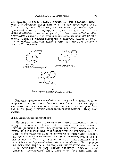 Кинетин представляет собой синтетический цитокшшн и не встречается в растениях. Впоследствии были получены другие синтетические цитокинины, наиболее активные из которых бензил аденин (БА) и тетрагидропиранилбеизиладеиин (ПБА) (см. выше).