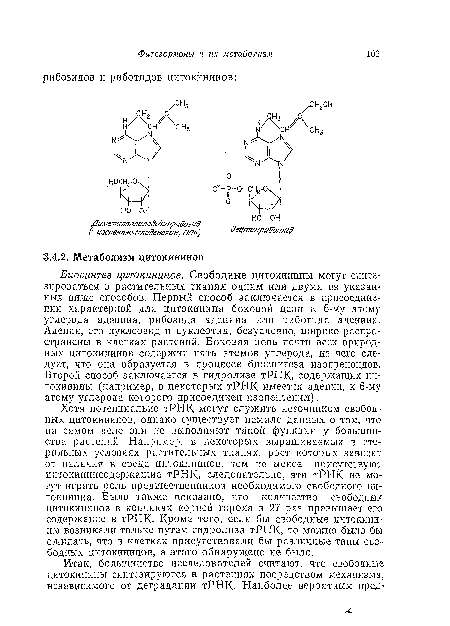 Хотя потенциально тРНК могут служить источником свободных цитокининов, однако существует немало данных о том, что на самом деле они не выполняют такой функции у большинства растений. Например, в некоторых выращиваемых в стерильных условиях растительных тканях, рост которых зависит от наличия в среде цитокининов, тем не менее присутствуют цитокининсодержащие тРНК, следовательно, эти тРНК не могут играть роль предшественников необходимого свободного ци-токииина. Было также показано, что количество свободных цитокининов в кончиках корней гороха в 27 раз превышает его содержание в тРНК. Кроме того, если бы свободные цитокини-иы возникали только путем гидролиза тРНК, то можно было бы ожидать, что в клетках присутствовали бы различные типы свободных цитокинииов, а этого обнаружено не было.