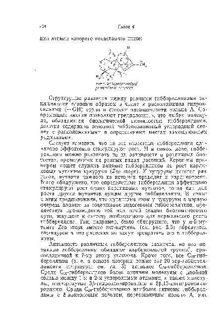 Структурные различия между разными гиббереллииами заключаются главным образом в числе и расположении гидроксильных (—ОН) групп и степени насыщенности кольца А. Современные знания позволяют предположить, что любая молекула, обладающая биологической активностью гиббереллииов, должна содержать основной гиббереллановый углеродный скелет с расположенными в определенных местах замещающими радикалами.