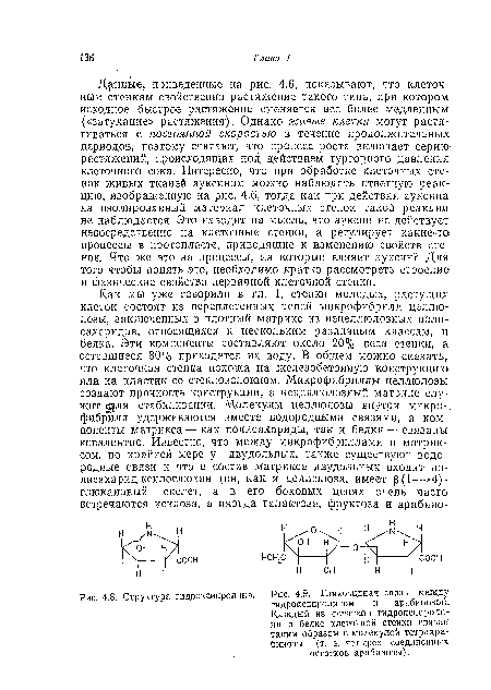 Данные, приведенные на рис, 4:6, показывают, что клеточным стенкам свойственно растяжение такого типа, при котором исходное быстрое растяжение сменяется все более медленным («затухание» растяжения ). Однако живые клетки могут растягиваться с постоянной скоростью в течение продолжительных периодов, поэтому считают, что процесс роста включает серию растяжений, происходящих под действием тургорного давления клеточного сока. Интересно, что при обработке клеточных стенок живых тканей ауксином можно наблюдать ответную реакцию, изображенную на рис. 4.6, тогда как при действии ауксина на изолированный материал клеточных стенок такой реакции не наблюдается. Это наводит на мысль, что ауксин не действует непосредственно на клеточные стенки, а регулирует какие-то процессы в протопласте, приводящие к изменению свойств стенок. Что же это за процессы, на которые влияет ауксин? Для того чтобы понять это, необходимо кратко рассмотреть строение и физические свойства первичной клеточной стенки.