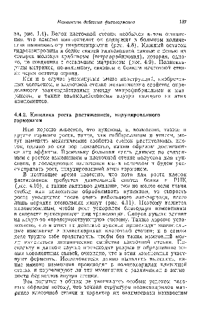 Как и в случае упомянутых выше конструкций, изобретенных человеком, в клеточной стенке механические свойства определяются взаимодействиями между микрофибриллами и матриксом, а также взаимодействиями внутри каждого из этих компонентов.