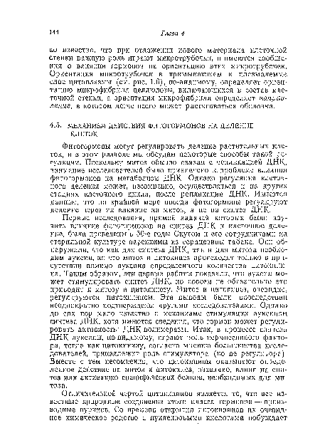 Фитогормоны могут регулировать деление растительных клеток, и в этом разделе мы обсудим некоторые способы такой регуляции. Поскольку митоз обычно связан с репликацией ДИК, внимание исследователей было привлечено к. проблеме влияния фитогормонов на метаболизм ДНК. Однако регуляция клеточного деления может, несомненно, осуществляться и на других стадиях клеточного цикла, после репликации ДНК. Имеются данные, что по крайней мере иногда фитогормоны регулируют деление через их влияние на митоз, а не на синтез ДНК.