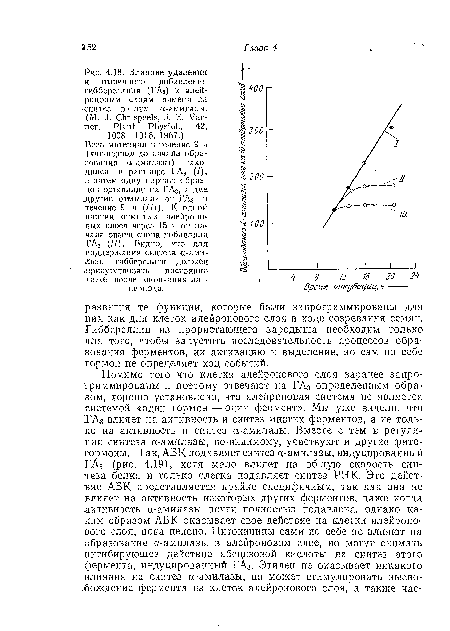 Влияние удаления и вторичного добавления гиббереллина (ГАз) к алейроновым слоям ячменя на синтез в1 них сс-амилазы.