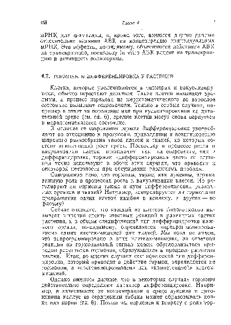 Сейчас очевидно, что каждый из классов фитогормонов вызывает широкий спектр ответных реакций в различных частях растения, и в общем специфический тип дифференцировки каждого органа, по-видимому, определяется «препрограммирова-нием» самих клеток-мишеней или тканей. Мы пока не знаем, что запрограммировано в этих клетках-мишенях, но ответная реакция на гормональный сигнал может обусловливаться природой рецепторов гормонов, образующихся в процессе развития клетки. Итак, во многих случаях специфический тип дифференцировки, который приводит в действие гормон, определяется не гормоном, а «программированием» или «компетенцией» клеток-мишеней.