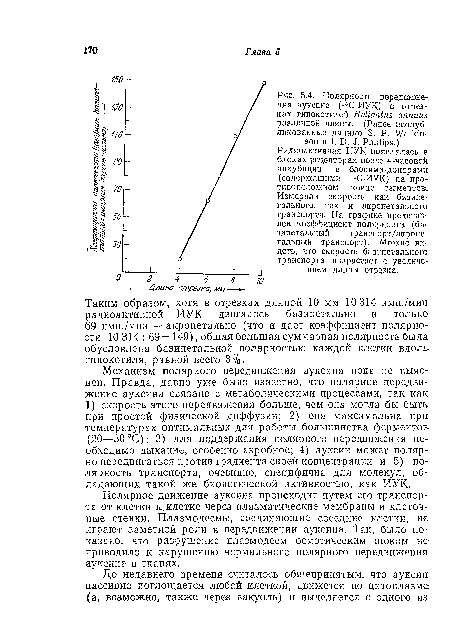 До недавнего времени считалось общепринятым, что ауксин пассивно поглощается любой клеткой, движется по цитоплазме (а, возможно, также через вакуоль) и выделяется с одного из.