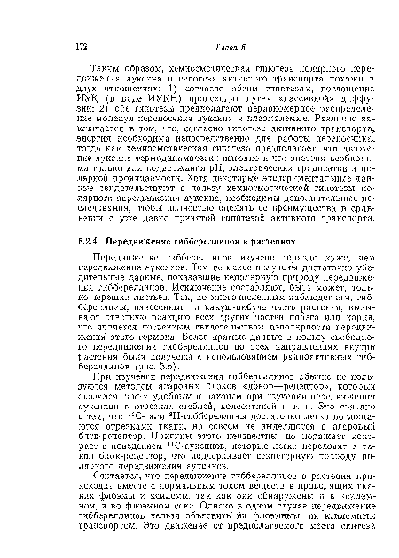 Таким образом, хемиосмотическая гипотеза полярного передвижения ауксина и гипотеза активного транспорта похожи в двух отношениях: 1) согласно обеим гипотезам, поглощение ИУК (в виде ИУКН) происходит путем «пассивной» диффузии; 2) обе гипотезы предполагают неравномерное распределение молекул переносчика ауксина в плазмалемме. Различие заключается в том, что, согласно гипотезе активного транспорта, энергия необходима непосредственно для работы переносчика, тогда как хемиосмотическая гипотеза предполагает, что движение ауксина термодинамически выгодно и что энергия необходима только для поддержания pH, электрических градиентов и полярной проницаемости. Хотя некоторые экспериментальные данные свидетельствуют в пользу хемиосмотической гипотезы полярного передвижения ауксина, необходимы дополнительные исследования, чтобы полностью оценить ее преимущества в сравнении с уже давно принятой гипотезой активного транспорта.