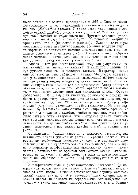 Сравнительно больше известно о факторах, регулирующих .активность камбия древесных растений средней полосы. Этим растениям свойственны сезонные изменения в активности клеточного деления сосудистого камбия как в побеге, так и в корне, и характер дифференцировки производных камбия различается в зависимости от времени года. Зимой камбий таких деревьев не активен, а весной снова начинается клеточное деление и новообразованные клетки дифференцируются в ксилему и флоэму.