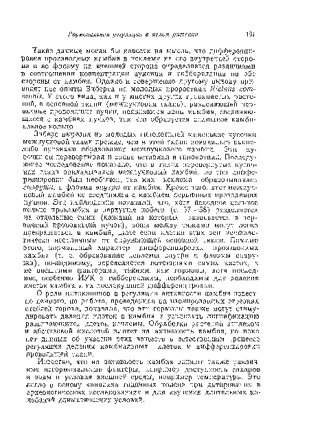 Зиберс вырезал из молодых гипокотилей маленькие кусочки межпучковой ткани прежде, чем в этой ткани появлялись какие-либо признаки образования межпучкового камбия. Эти кусочки оп перевертывал и снова вставлял в гипокотилп. Последующее исследование показало, что в таких перевернутых кусочках ткани закладывался межпучковый камбий, по тип днффе-ренцировки был необычен, так как ксилема образовывалась ¿наружи, а флоэма внутри от камбия. Кроме того, этот межпучковый камбий не соединялся с камбием первичных проводящих пучков. Эти наблюдения показали, что, хотя исходное цельное кольцо прокамбия в верхушке побега (с. 57—58) разделяется на отдельные тяжи (каждый из которых развивается в первичный проводящий пучок), зоны между тяжами могут легко превращаться в камбий, даже если клетки этих зон морфологически неотличимы от окружающей основной ткани. Помимо этого, нормальный характер дифференцировки производных камбия (т. е. образование ксилемы внутри и флоэмы снаружи), по-видимому, определяется потенциями самих клеток, а не внешними факторами, такими, как гормоны, хотя последние, особенно ИУК и гиббереллины, необходимы для деления клеток камбия и их последующей дифференцировки.