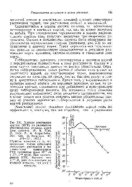 Содержащийся в корнях ауксин, конечно, не обязательно синтезируется в кончиках корней, так как он может поступать из побега. При исследовании передвижения в корнях радиоактивного ауксина пока получены несколько противоречивые результаты. Однако в большинстве случаев было обнаружено ак-ропетальиое передвижение ауксина (например, рис. 5.3) по направлению к кончику корня. Такое акропетальное передвижение ауксина не соответствует представлению о регуляции растяжения корпя ауксином, синтезированным в апикальной зоне корня.